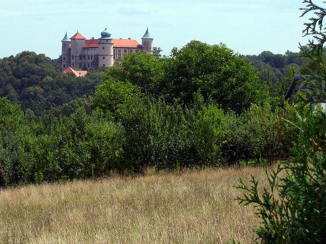 Nykyisin vankilakytss olevan Nowy Wisniczin linnan rakentaminen aloitettiin 1300-luvulla. Nowy Wisnicz, Puola.