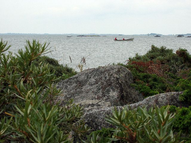 Klobbskat. Mustasaari, Suomi.