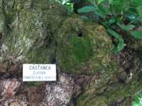 verbaniaitalia11_small.jpg