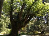 verbaniaitalia12_small.jpg