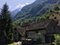 locascaitalia_small.jpg