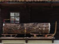 ponteitalia17_small.jpg