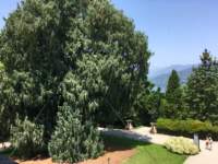 isolamadrestresaitalia14_small.jpg