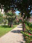 isolamadrestresaitalia19_small.jpg
