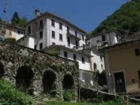 campellomontiitalia5_small.jpg