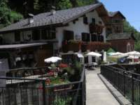 campellomontiitalia6_small.jpg