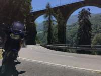 corcapolosveitsi2_small.jpg