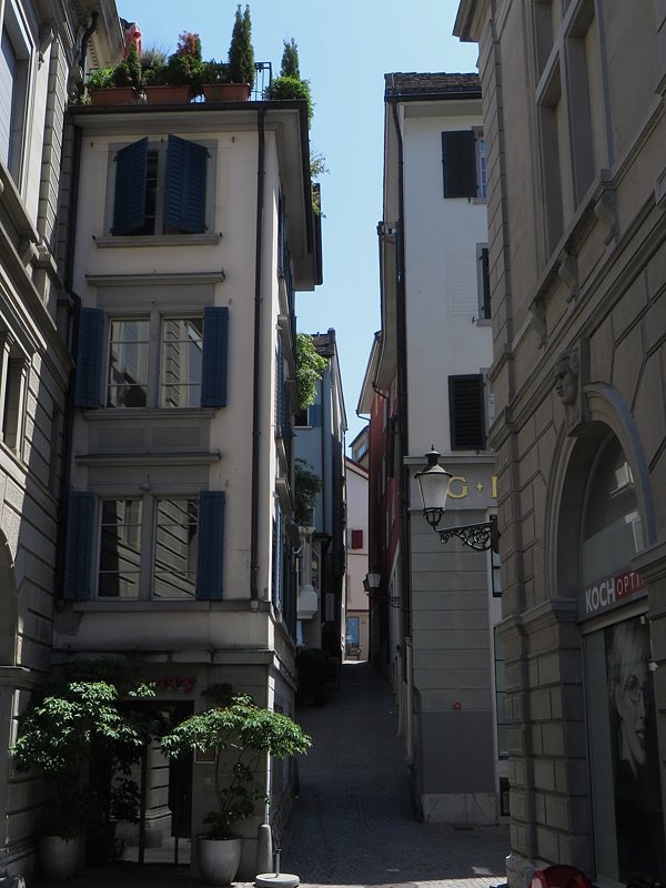 zrichsveitsi8.jpg